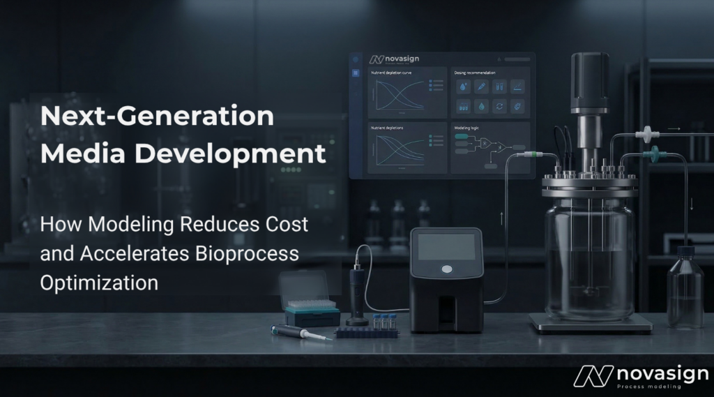 Next Generation Media Development